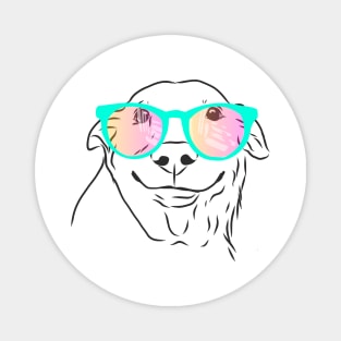 happy smiling dog with rainbow glasses Magnet